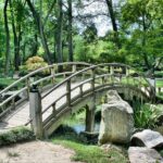Park, Brücke, Garten