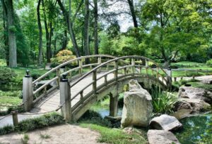 Gartenexperten: 5 Gärten in Berlin an einem Tag (oder zwei) + Bonus: Volkspark Friedrichshain